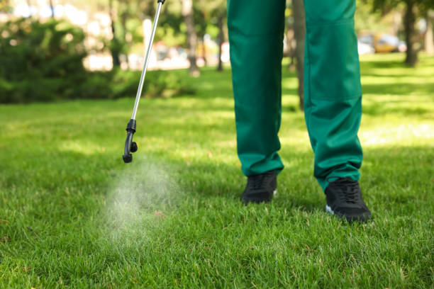 Best Pest Control Treatment  in Merced, CA