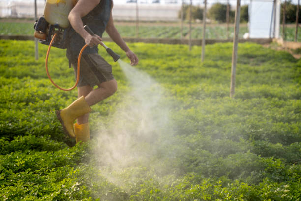 Best Emergency Pest Control  in Merced, CA