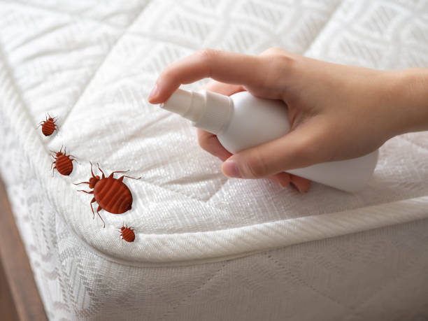 Best Local Pest Control Services  in Merced, CA