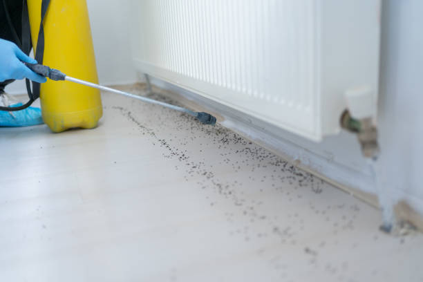 Best Affordable Pest Control Services  in Merced, CA