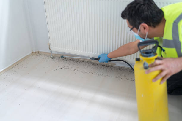 Pest Control for Restaurants in Merced, CA