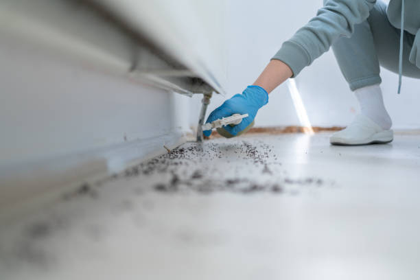 Best Bed Bug Extermination  in Merced, CA