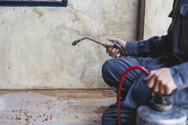 Best Best Pest Control Companies  in Merced, CA